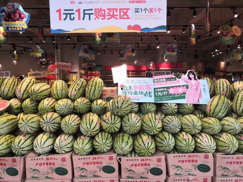 热门大瓜往期内容 吃瓜爆料短剧吃瓜爆料大赛每日聚集地,吃瓜爆料短剧大赛，每日新鲜爆料一网打尽！