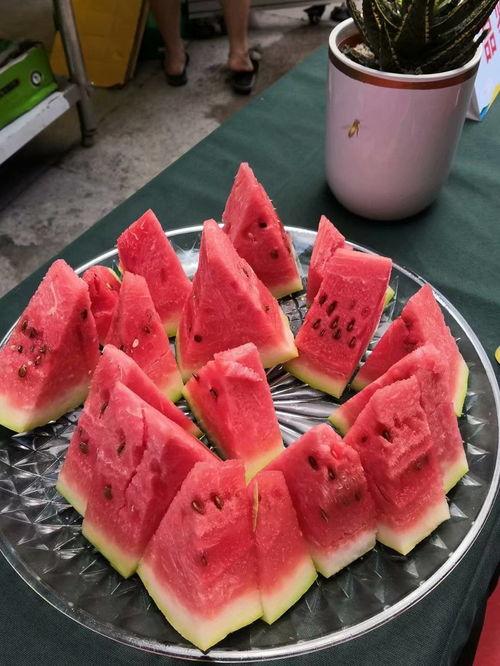 热门大瓜往期内容 吃瓜爆料短剧吃瓜爆料大赛每日聚集地,吃瓜爆料短剧大赛，每日新鲜爆料一网打尽！