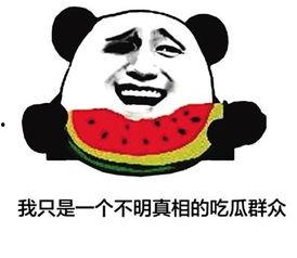 吃瓜群众,吃瓜群众眼中的明星生活